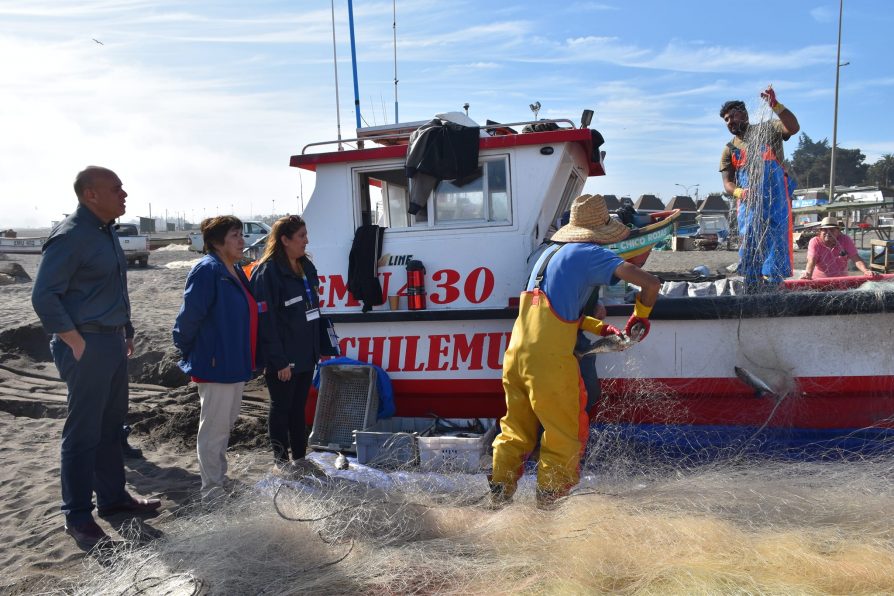 Delegada Presidencial encabezó fiscalización en Caleta de Pescadores