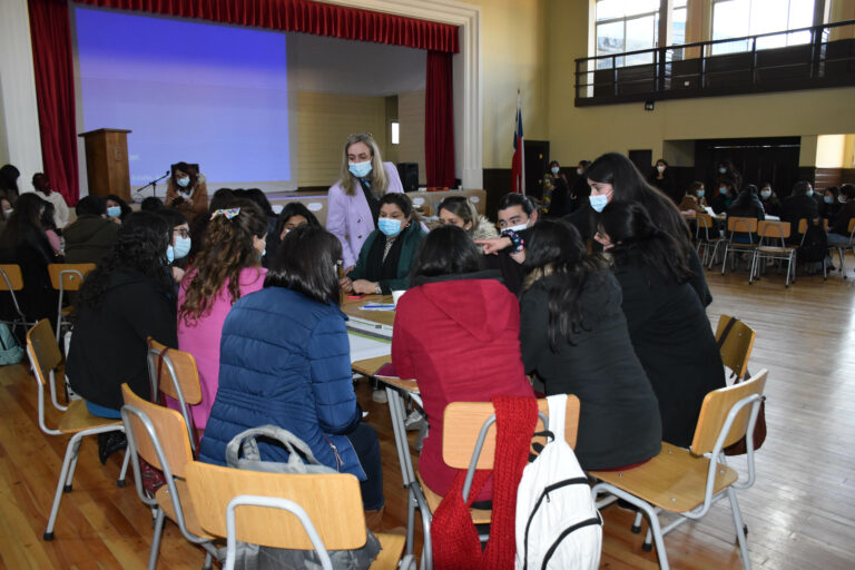 Amplia participación de establecimientos educacionales de SLEP Colchagua en 3° Asesoría en Red sobre Diseño Universal de Aprendizaje